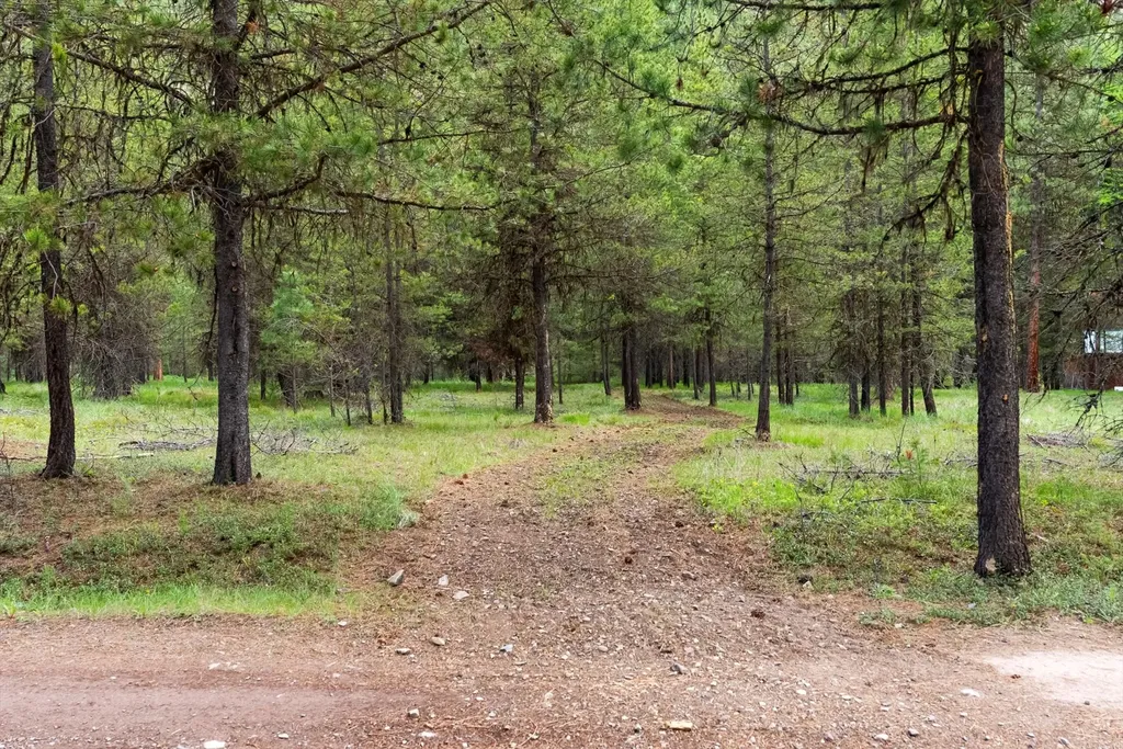 1155 Outback Trail Alberton MT 59820