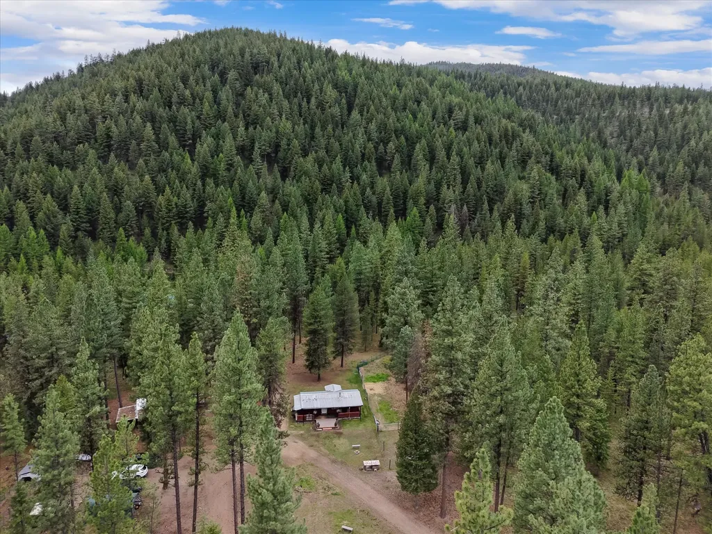 1155 Outback Trail Alberton MT 59820