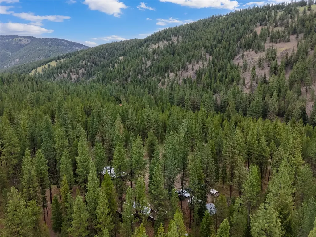 1155 Outback Trail Alberton MT 59820