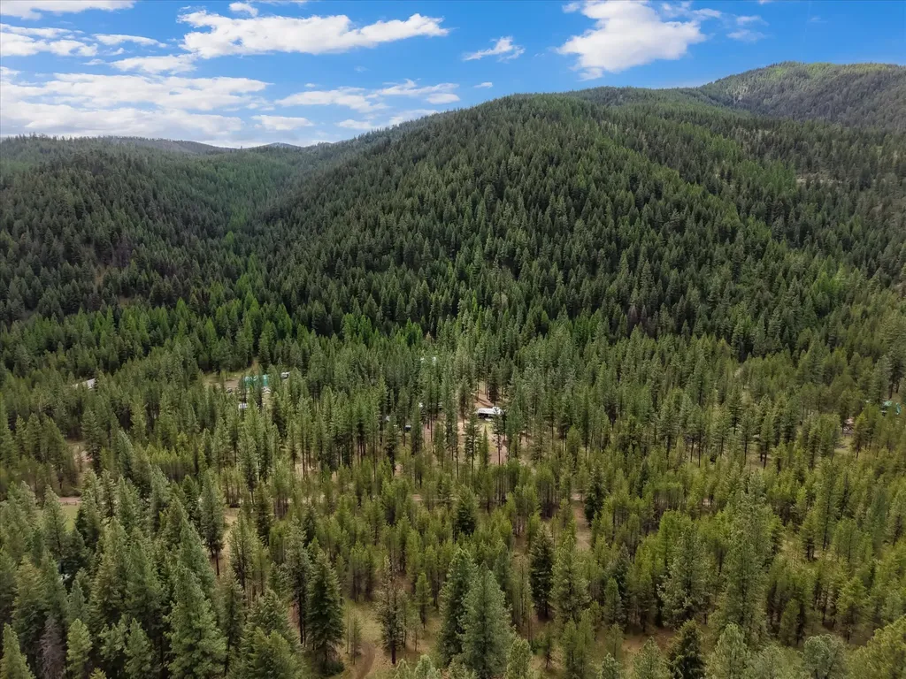 1155 Outback Trail Alberton MT 59820