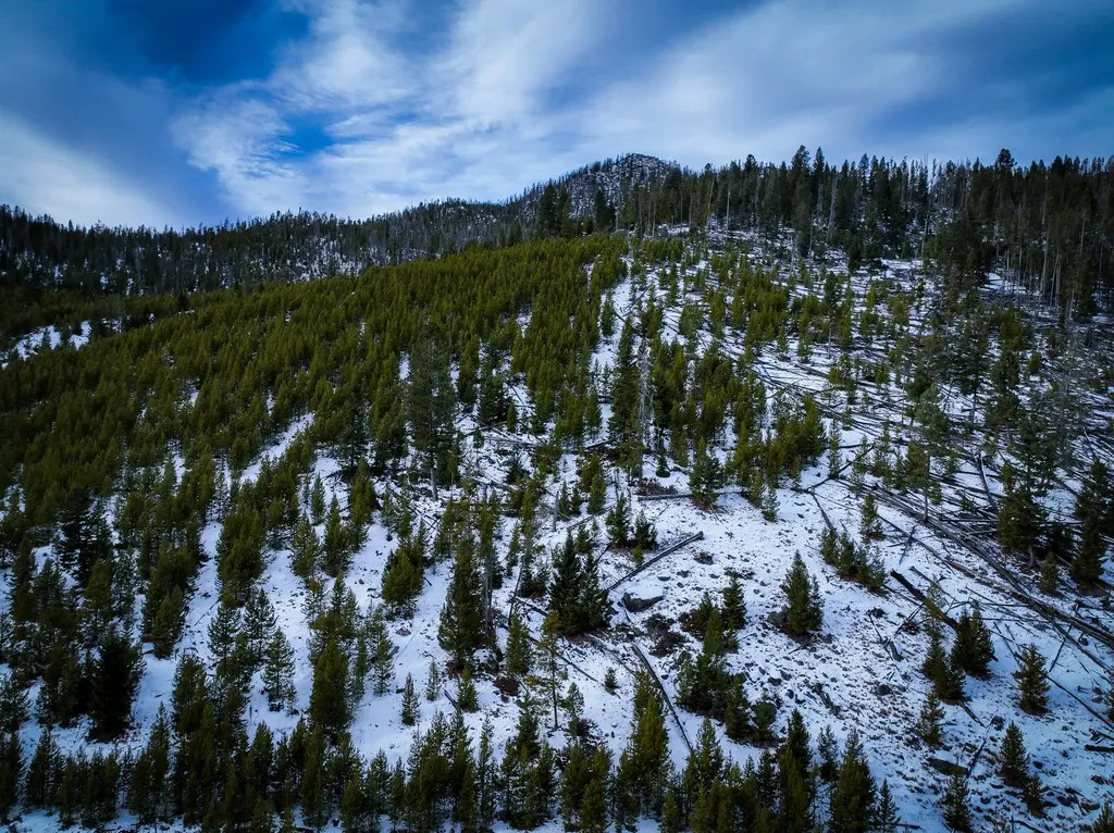 Nhn (Clipper Lode) Cataract Creek Road Boulder MT 59632