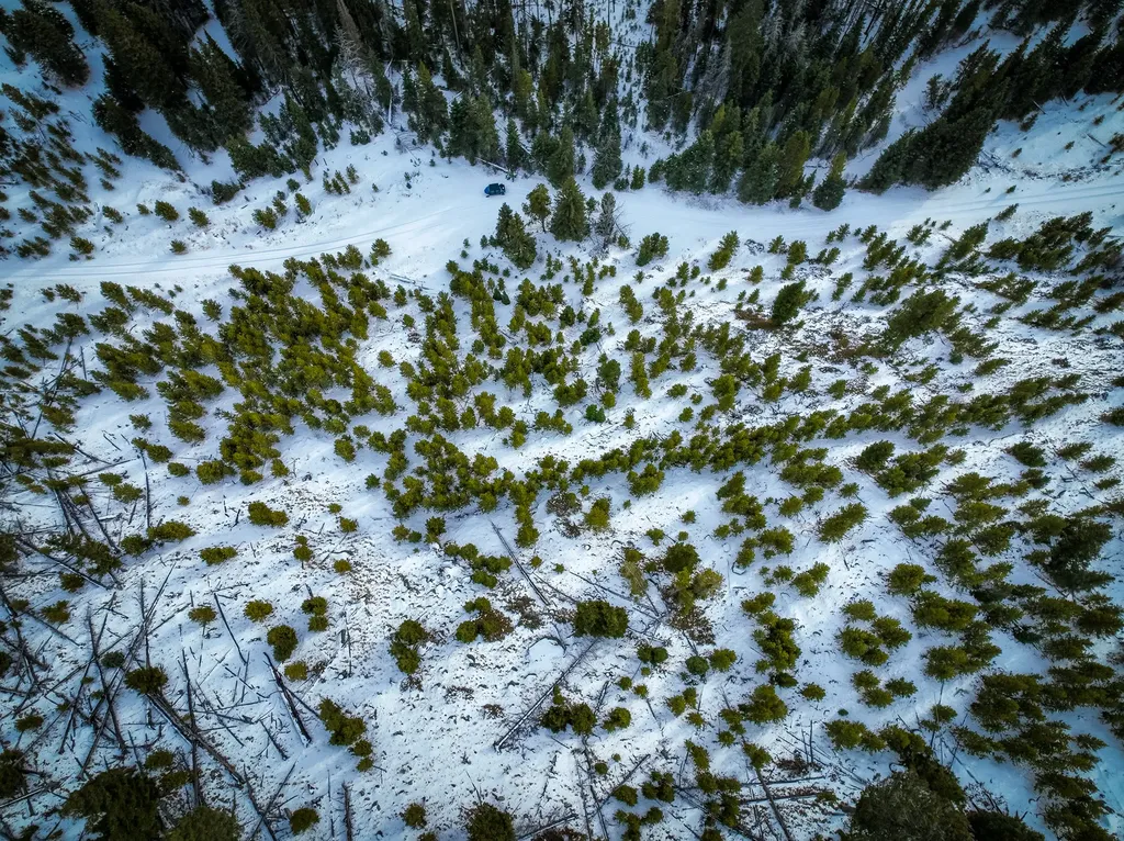 Nhn (Clipper Lode) Cataract Creek Road Boulder MT 59632