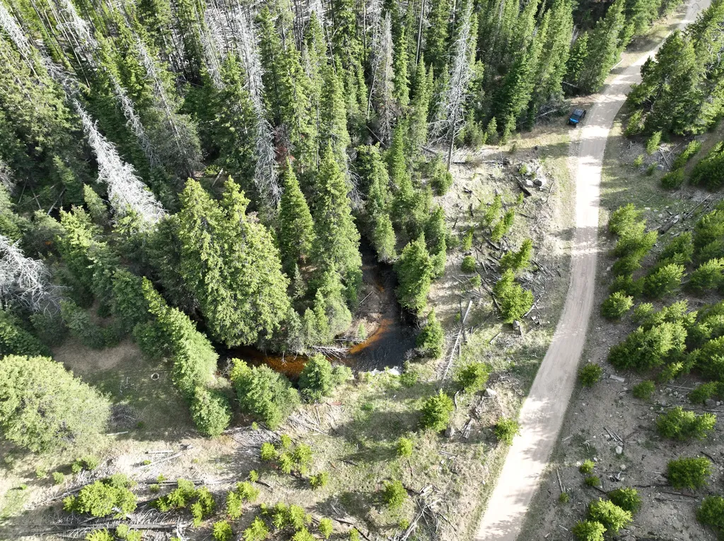 Nhn (Clipper Lode) Cataract Creek Road Boulder MT 59632