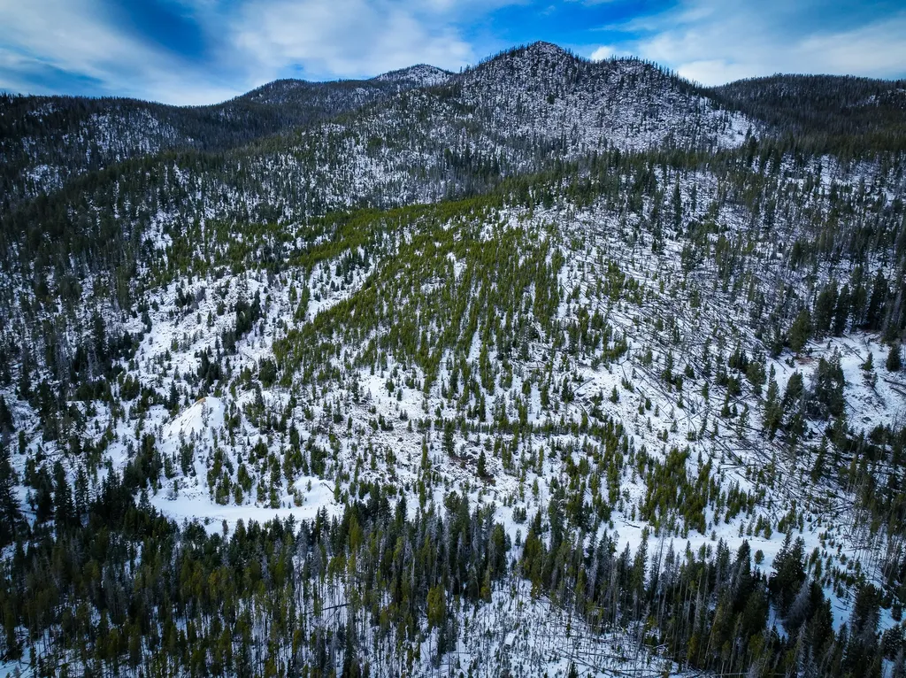 Nhn (Clipper Lode) Cataract Creek Road Boulder MT 59632