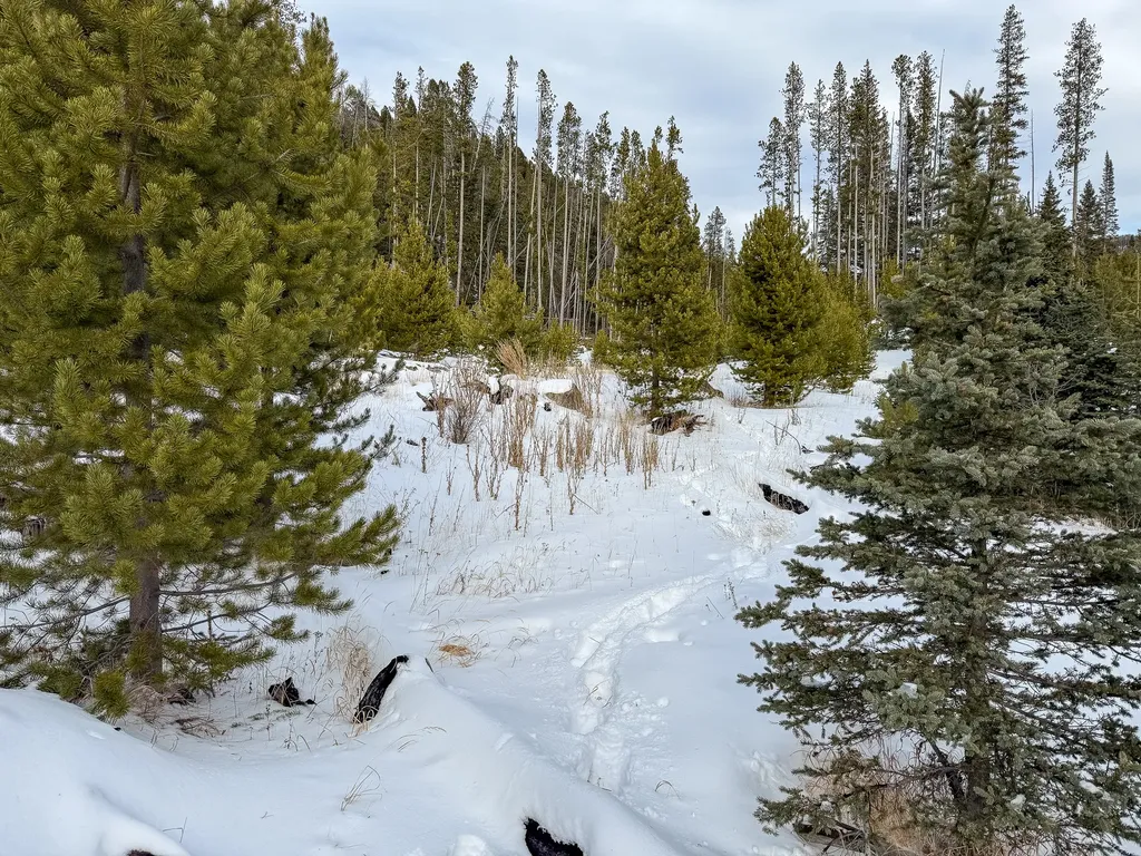 Nhn (Clipper Lode) Cataract Creek Road Boulder MT 59632