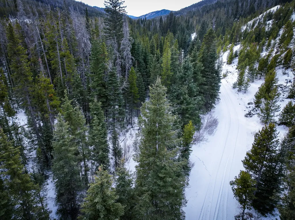 Nhn (Clipper Lode) Cataract Creek Road Boulder MT 59632