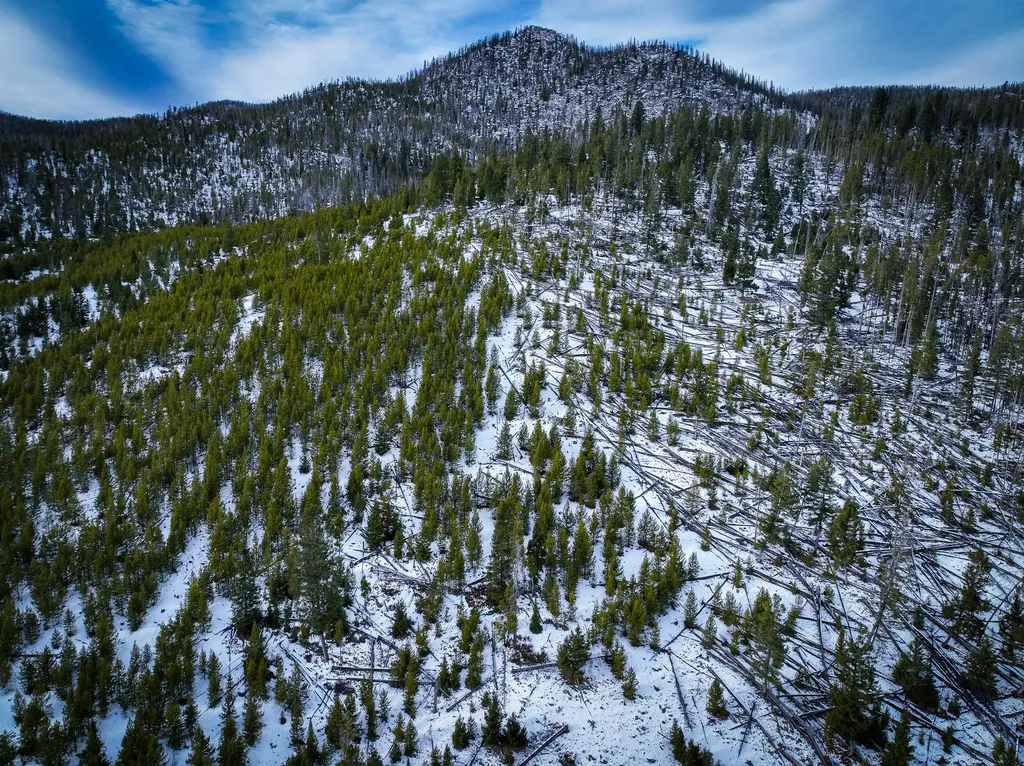 Nhn (Clipper Lode) Cataract Creek Road Boulder MT 59632