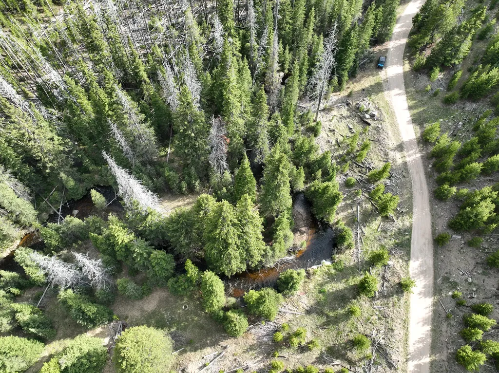 Nhn (Clipper Lode) Cataract Creek Road Boulder MT 59632