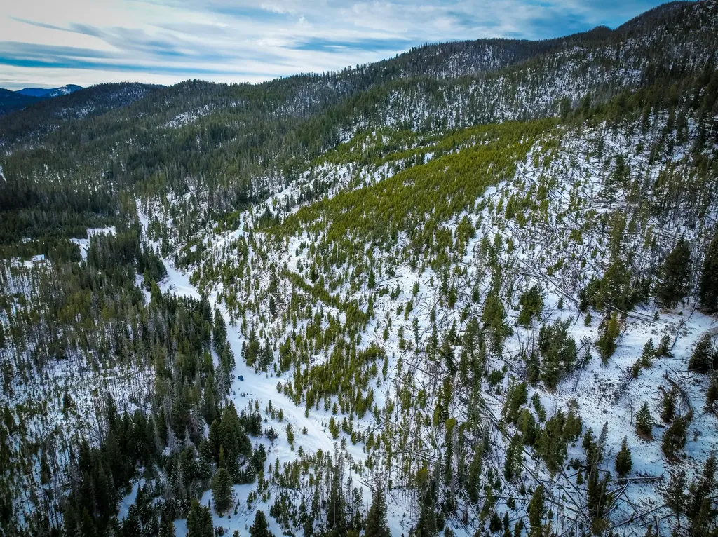 Nhn (Clipper Lode) Cataract Creek Road Boulder MT 59632