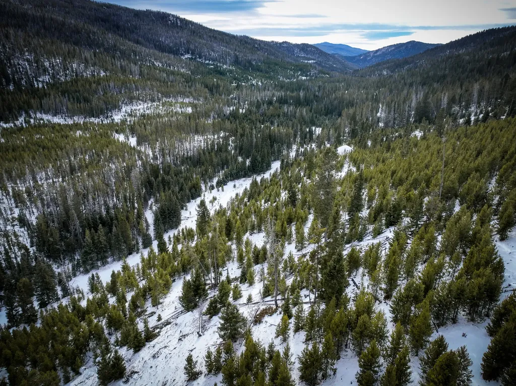 Nhn (Clipper Lode) Cataract Creek Road Boulder MT 59632