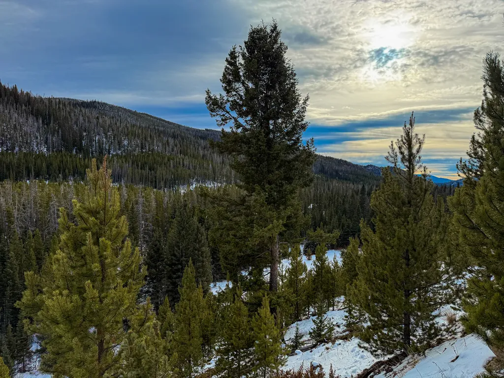 Nhn (Clipper Lode) Cataract Creek Road Boulder MT 59632