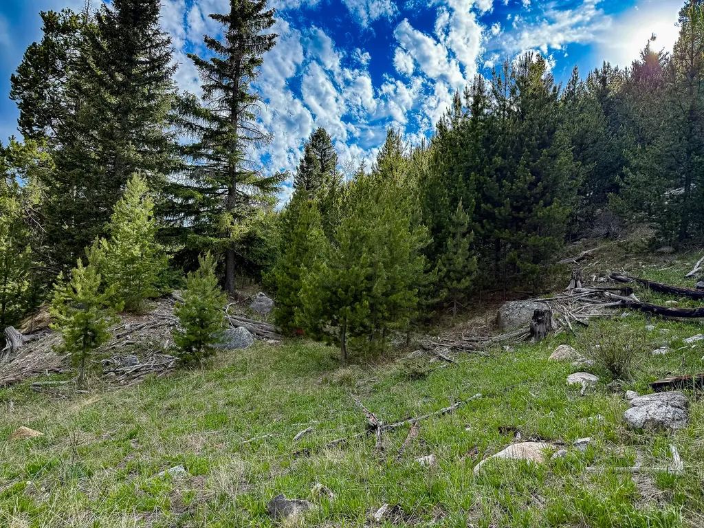 Nhn (Clipper Lode) Cataract Creek Road Boulder MT 59632