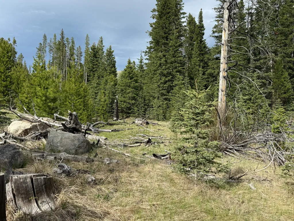 Nhn (Clipper Lode) Cataract Creek Road Boulder MT 59632