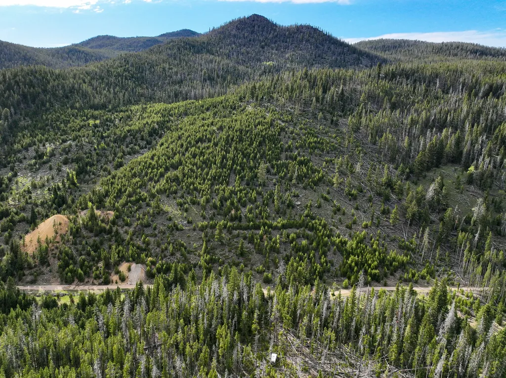 Nhn (Clipper Lode) Cataract Creek Road Boulder MT 59632