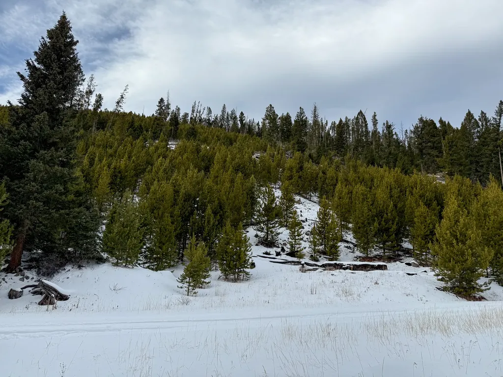 Nhn (Clipper Lode) Cataract Creek Road Boulder MT 59632