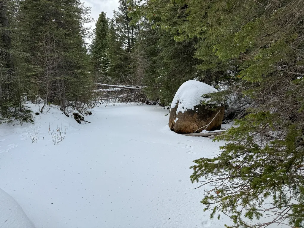 Nhn (Clipper Lode) Cataract Creek Road Boulder MT 59632