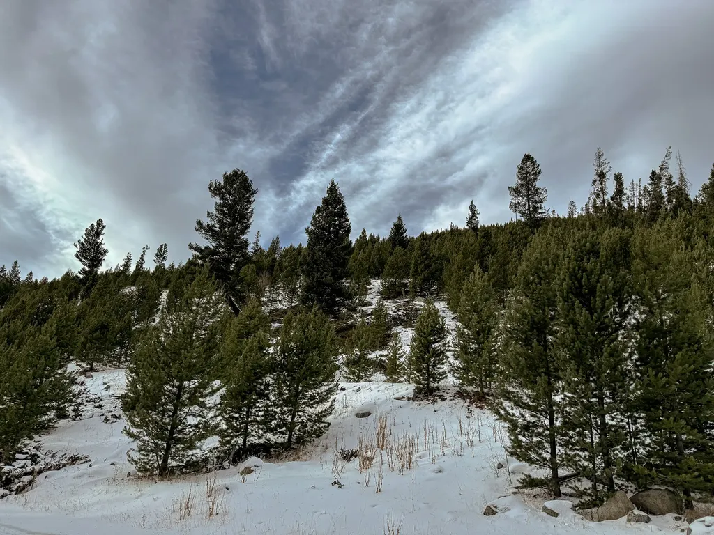 Nhn (Clipper Lode) Cataract Creek Road Boulder MT 59632