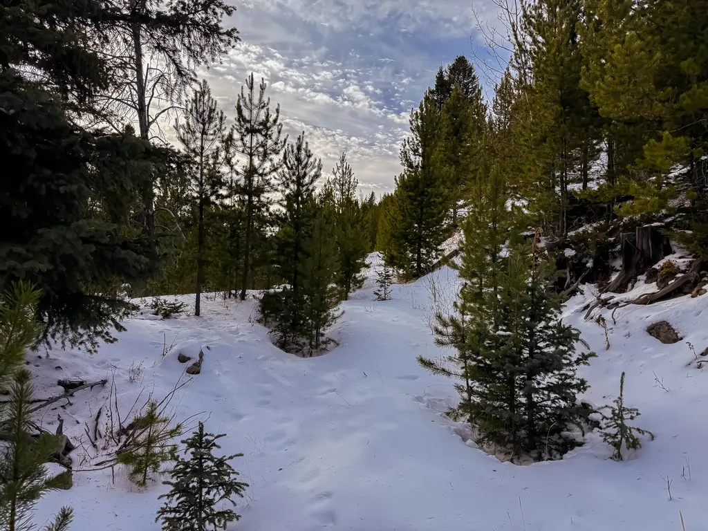 Nhn (Clipper Lode) Cataract Creek Road Boulder MT 59632