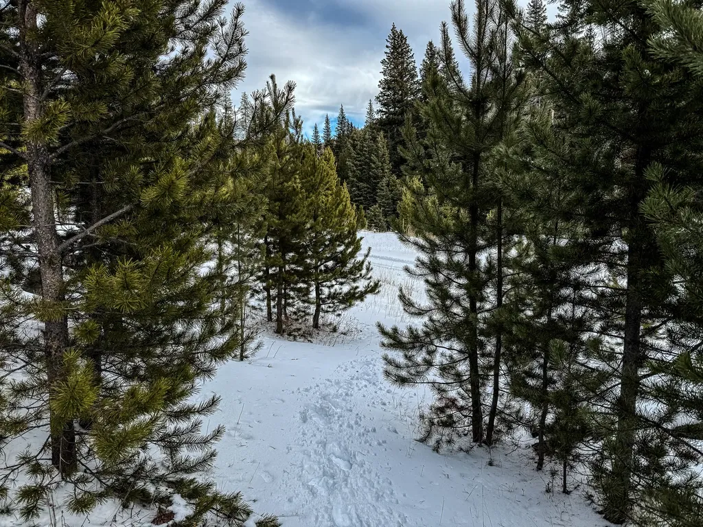 Nhn (Clipper Lode) Cataract Creek Road Boulder MT 59632