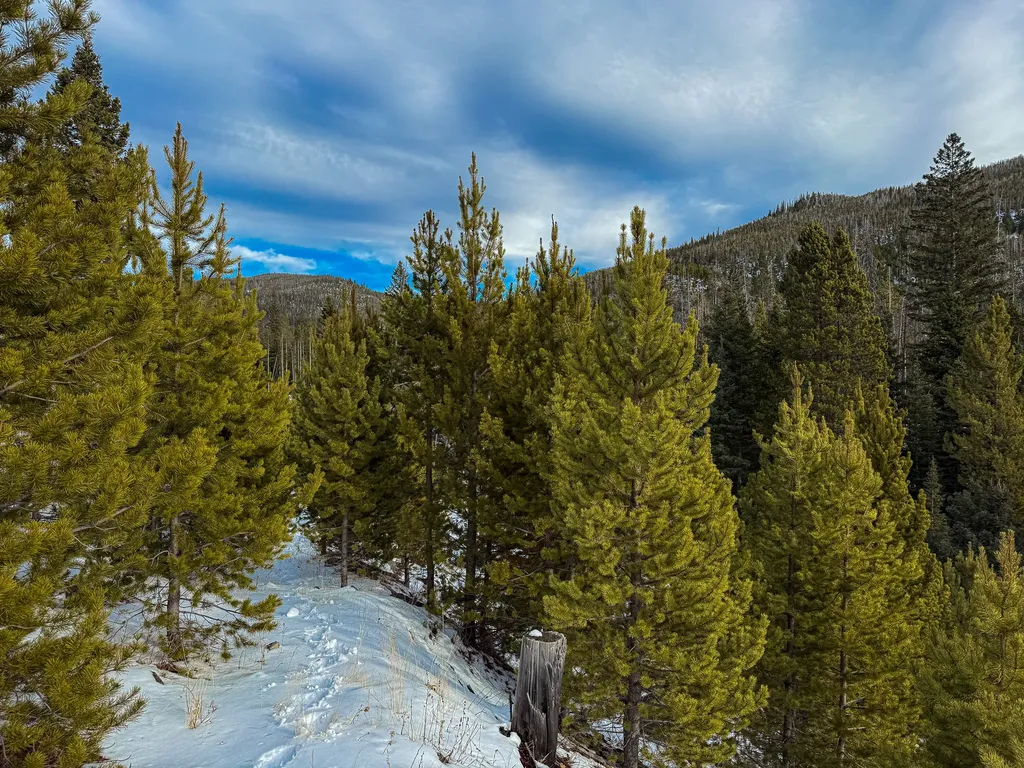 Nhn (Clipper Lode) Cataract Creek Road Boulder MT 59632