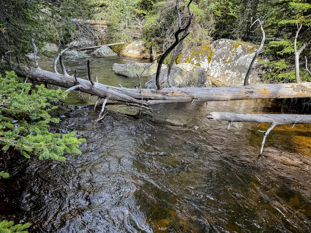 Nhn (Clipper Lode) Cataract Creek Road Boulder MT 59632