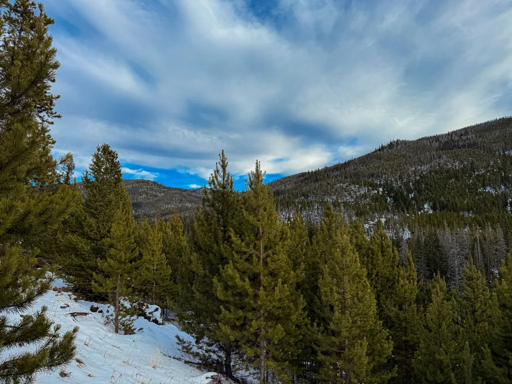 Nhn (Clipper Lode) Cataract Creek Road Boulder MT 59632