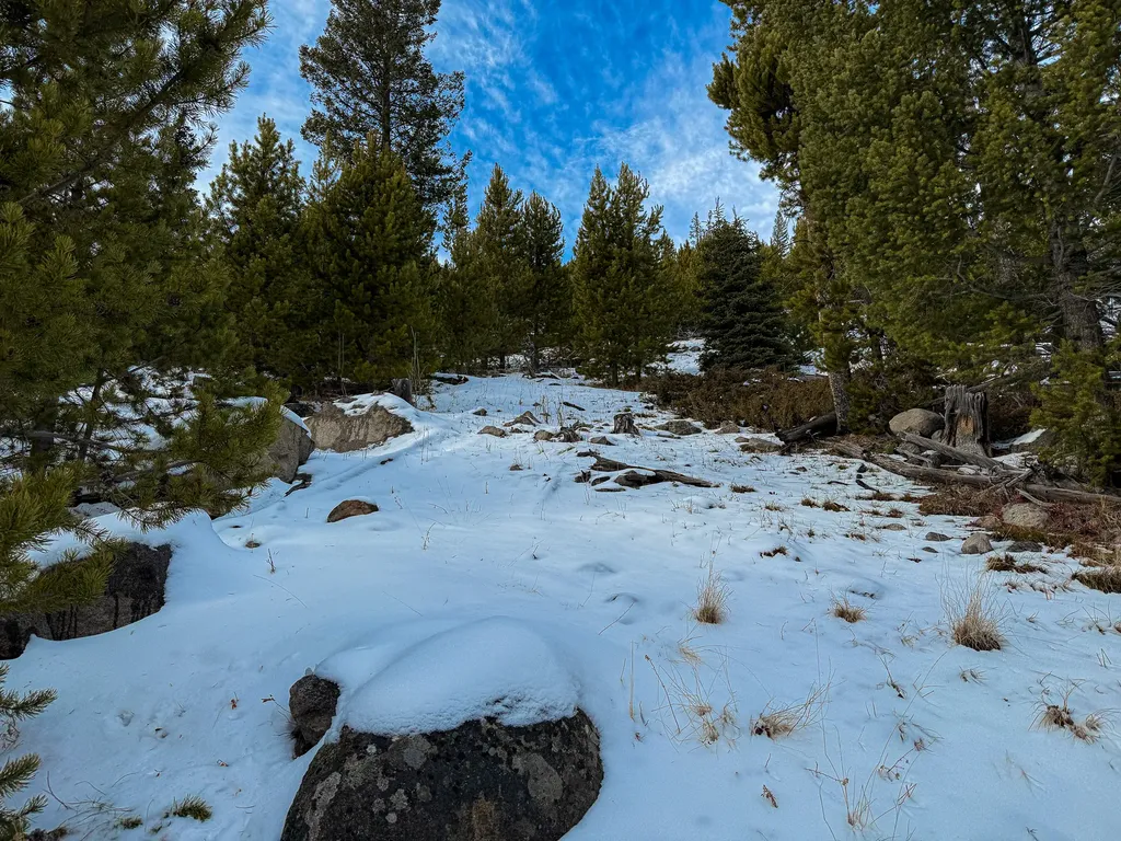 Nhn (Clipper Lode) Cataract Creek Road Boulder MT 59632