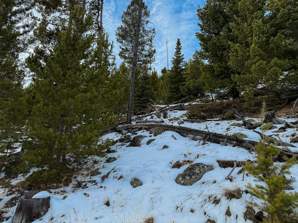 Nhn (Clipper Lode) Cataract Creek Road Boulder MT 59632
