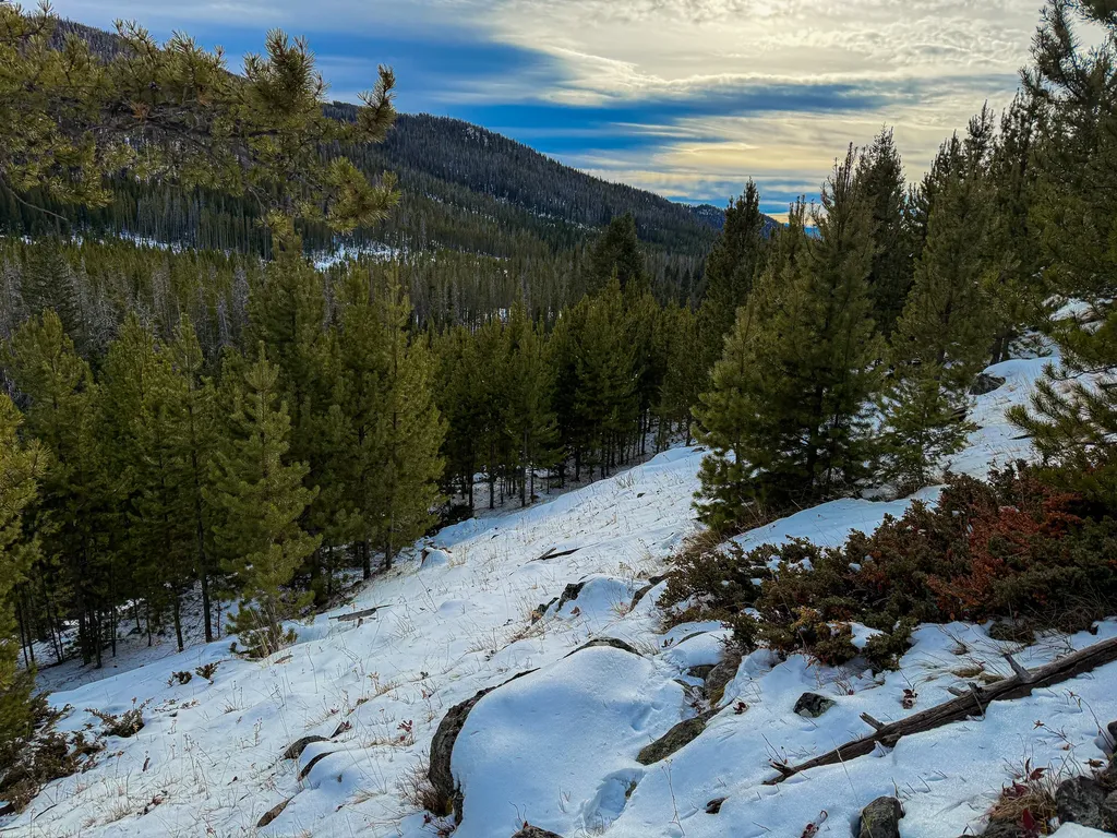 Nhn (Clipper Lode) Cataract Creek Road Boulder MT 59632