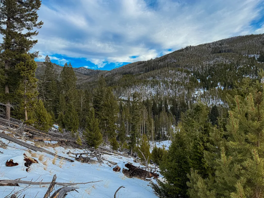 Nhn (Clipper Lode) Cataract Creek Road Boulder MT 59632