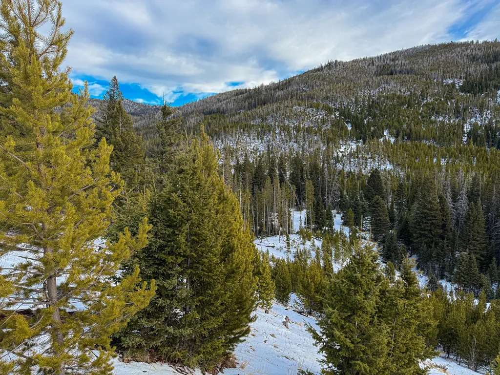 Nhn (Clipper Lode) Cataract Creek Road Boulder MT 59632