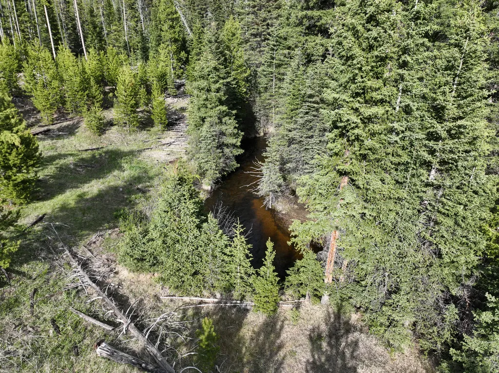 Nhn (Clipper Lode) Cataract Creek Road Boulder MT 59632