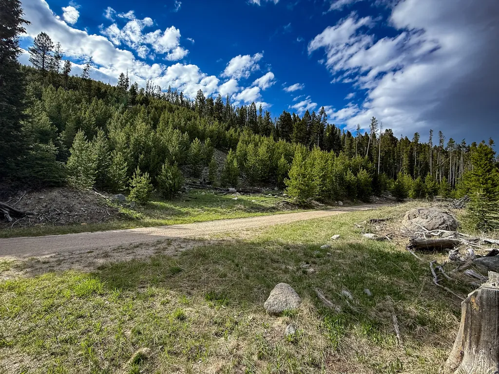 Nhn (Clipper Lode) Cataract Creek Road Boulder MT 59632