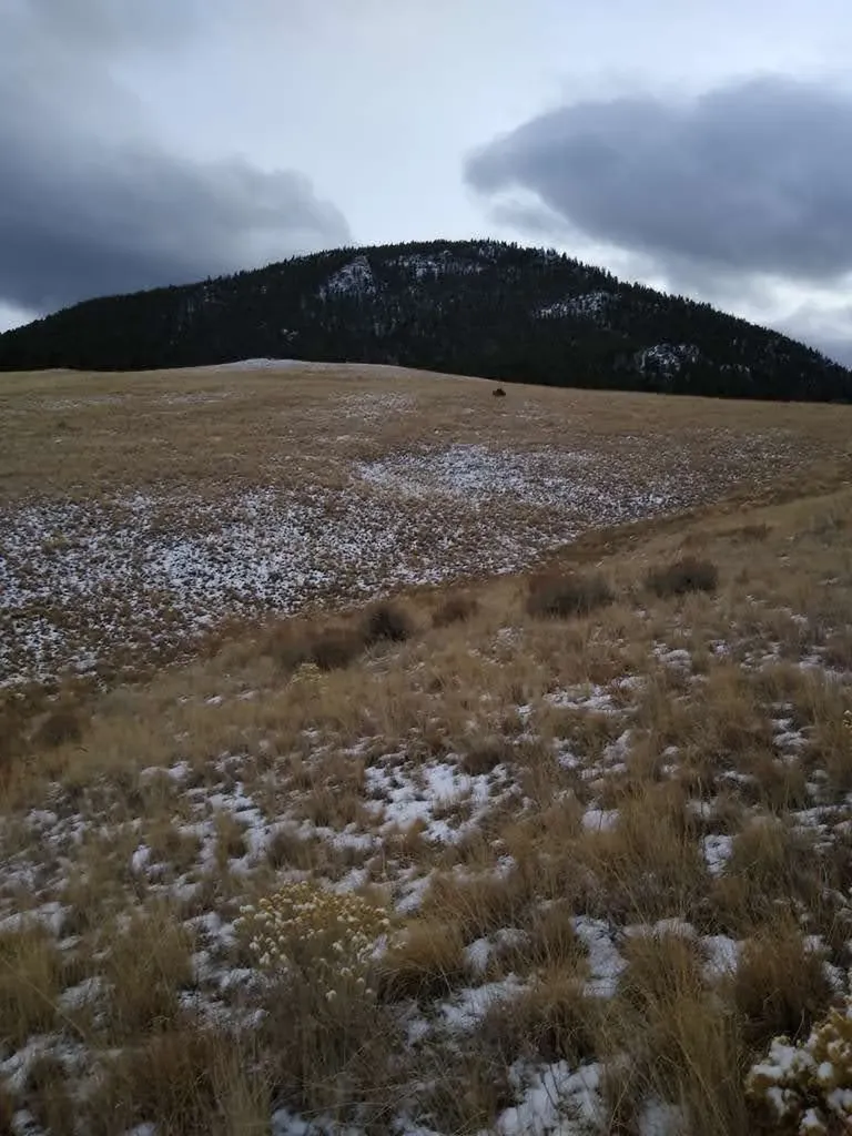 75 Foothill Road Boulder MT 59632