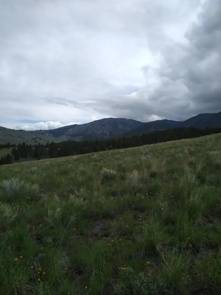 75 Foothill Road Boulder MT 59632