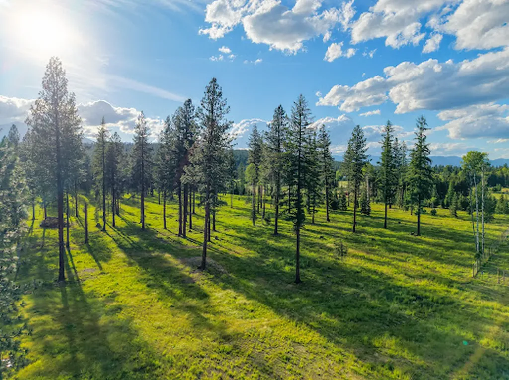 504 Highland Drive Libby MT 59923