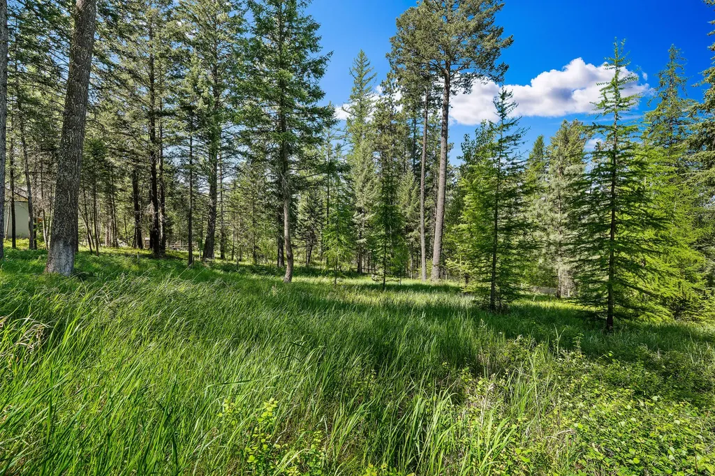599 Pommel Drive Bigfork MT 59911
