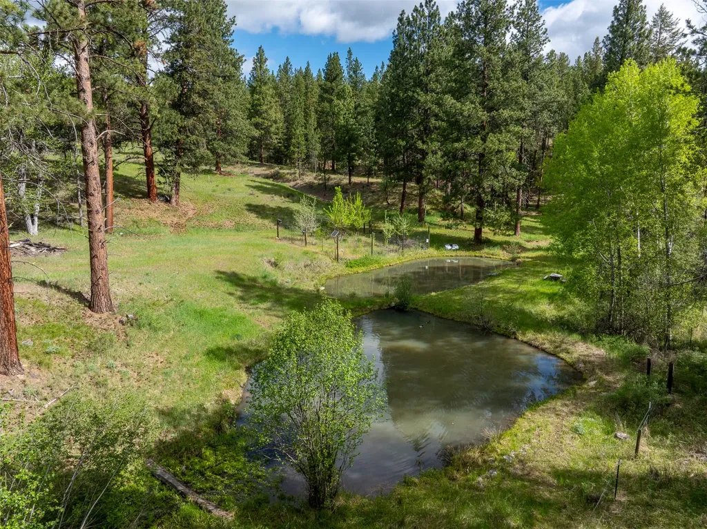 2949 Camp 4 Road Darby MT 59829