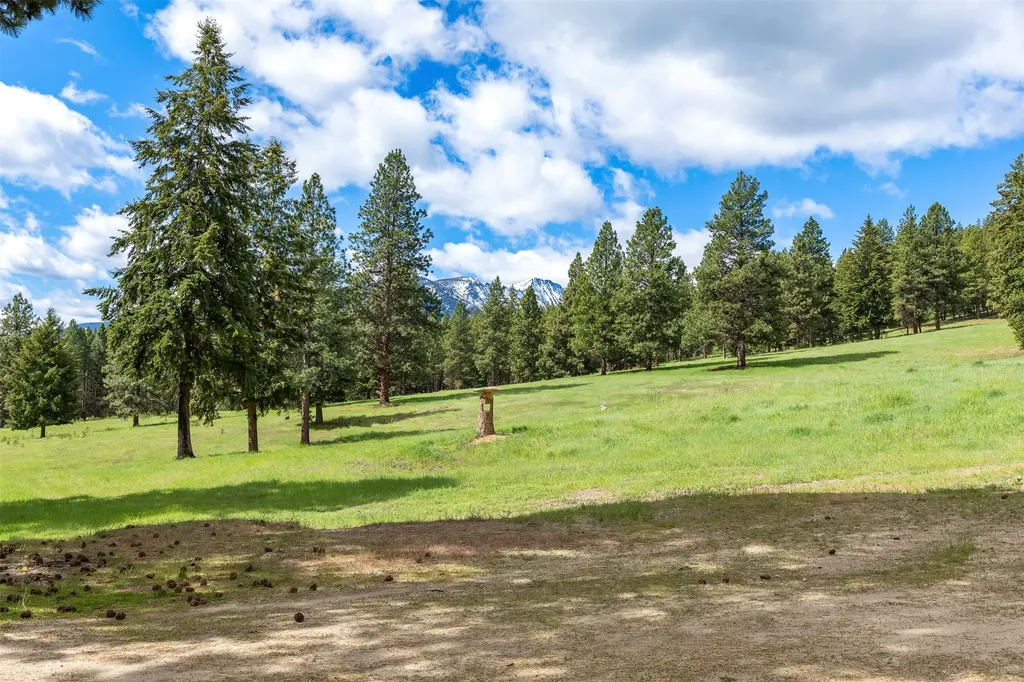 2949 Camp 4 Road Darby MT 59829