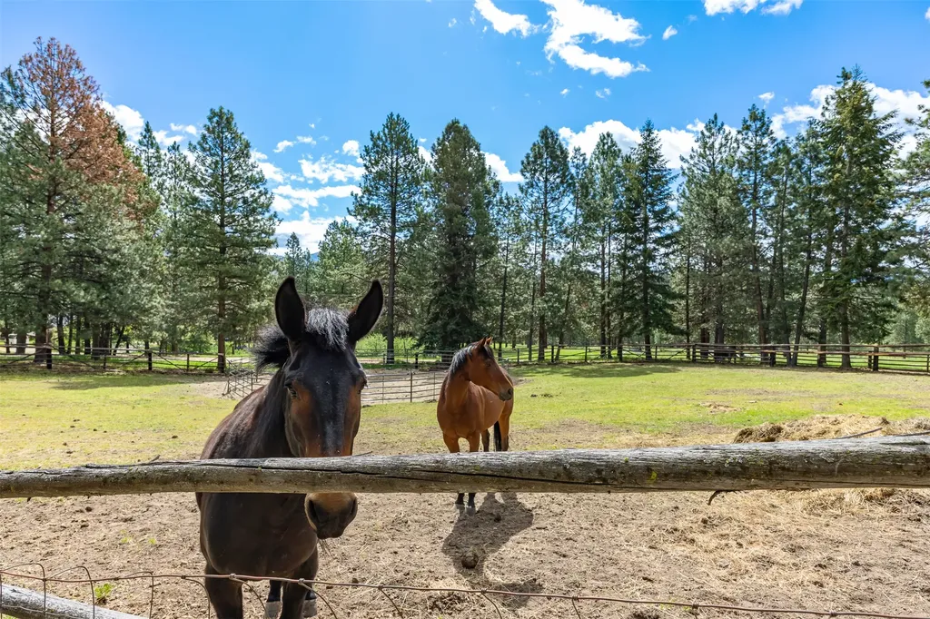 2949 Camp 4 Road Darby MT 59829