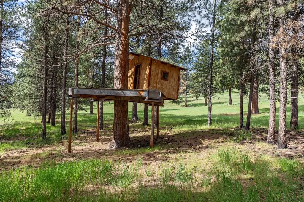 2949 Camp 4 Road Darby MT 59829