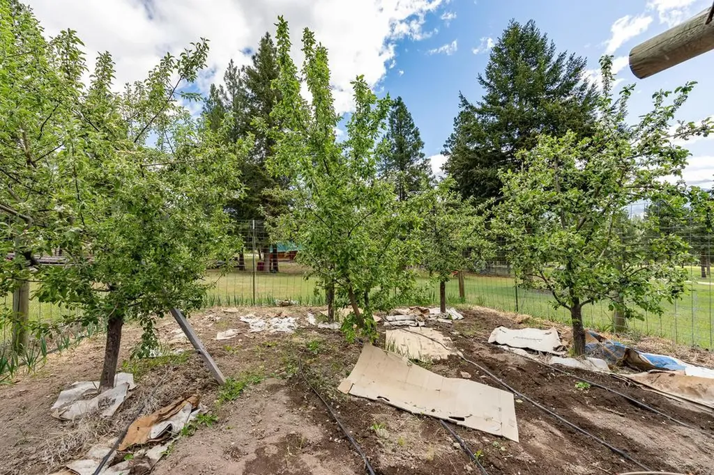 2949 Camp 4 Road Darby MT 59829