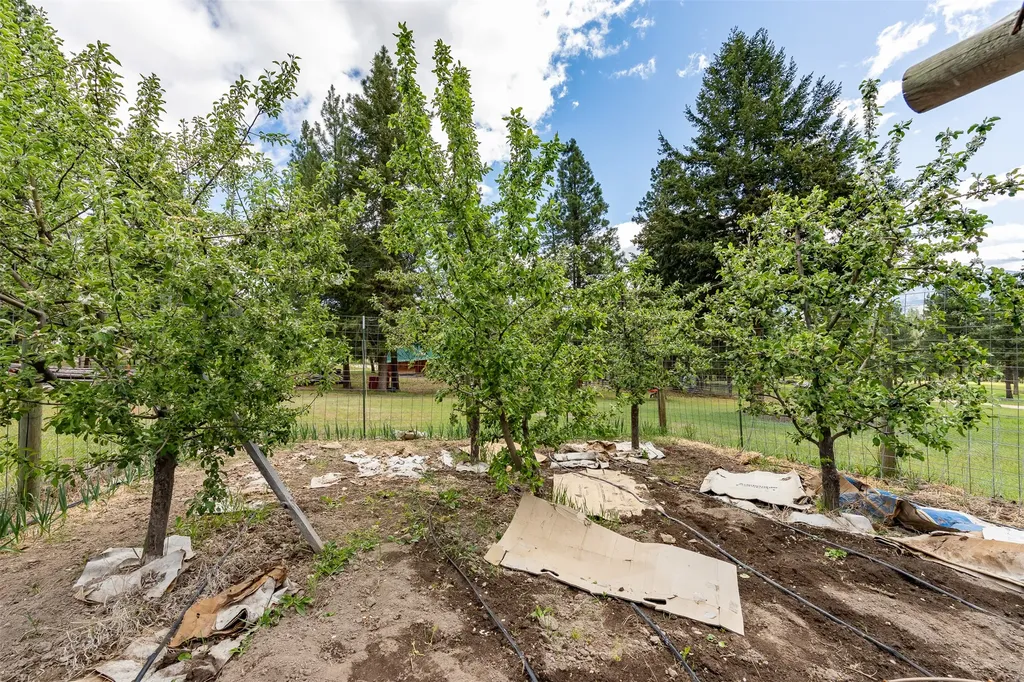 2949 Camp 4 Road Darby MT 59829