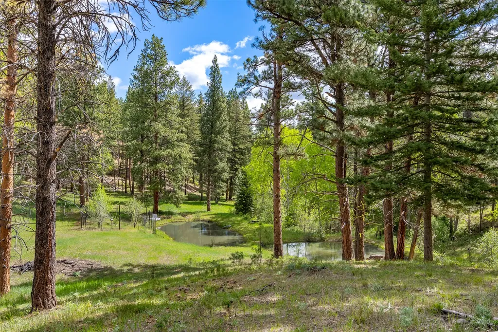 2949 Camp 4 Road Darby MT 59829