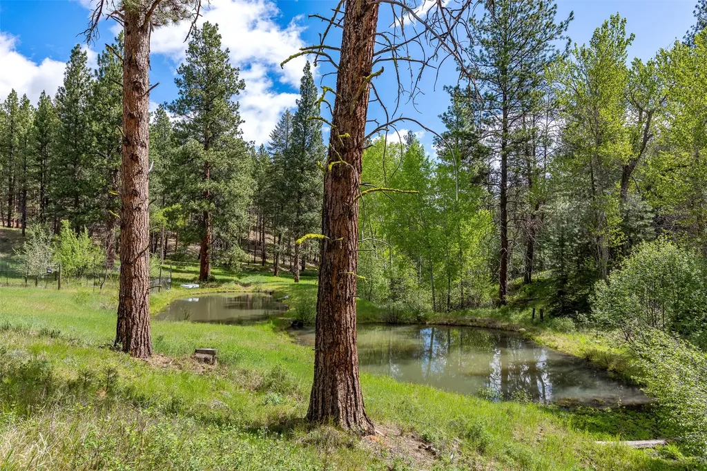 2949 Camp 4 Road Darby MT 59829