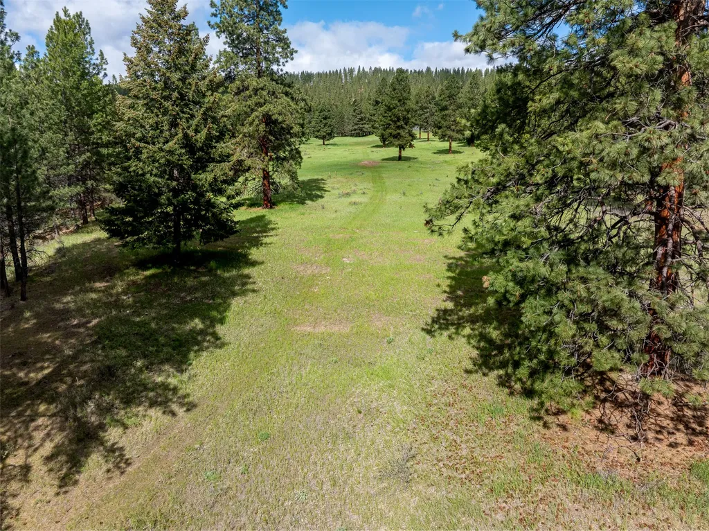 2949 Camp 4 Road Darby MT 59829