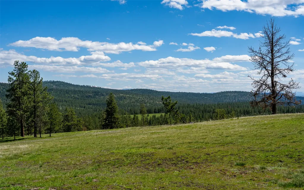 3605 Hubbart Dam Road Marion MT 59925