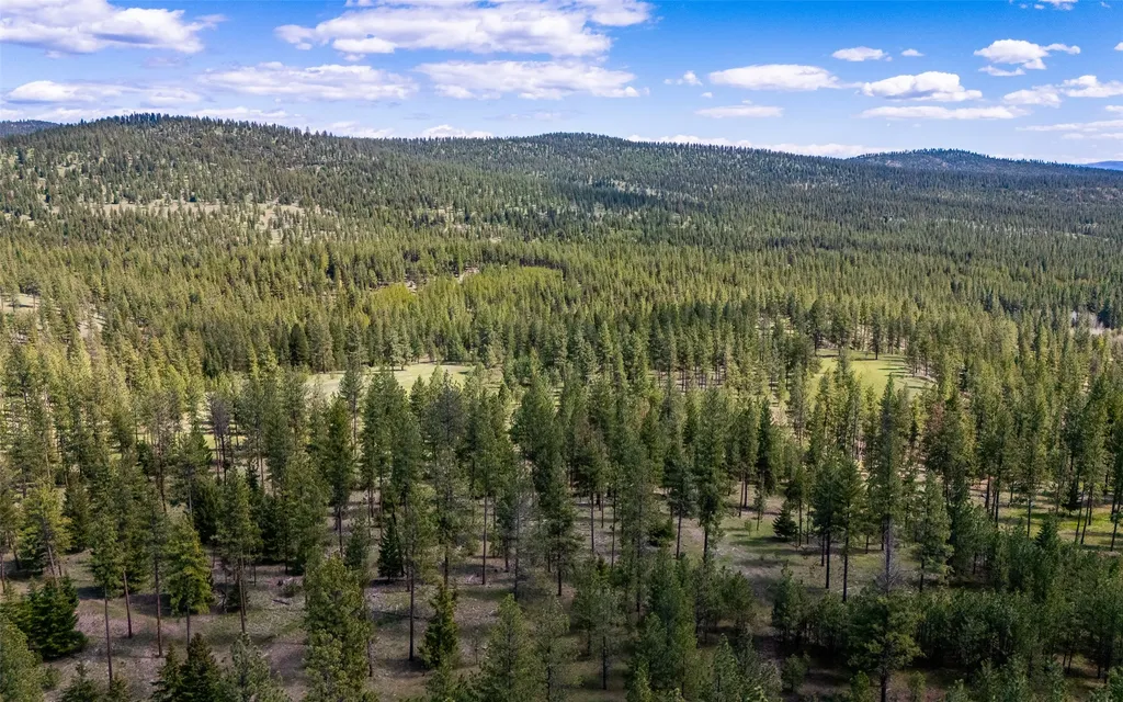 3605 Hubbart Dam Road Marion MT 59925