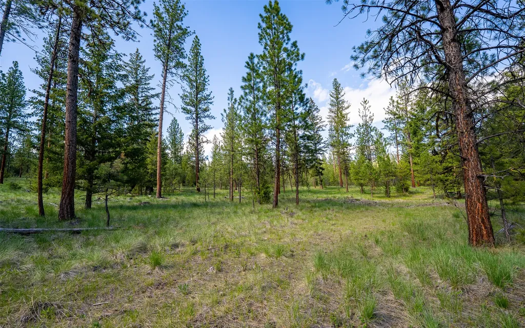3605 Hubbart Dam Road Marion MT 59925