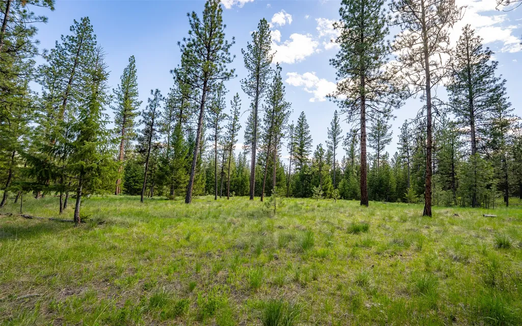 3605 Hubbart Dam Road Marion MT 59925